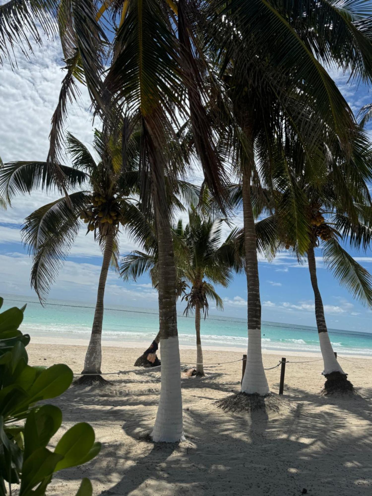 El Paraiso Hotel Tulum Exterior foto